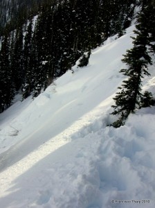 Unfortunately, the light crapped out on us just as the snow slid, so the details are hard to see. That's the 65 cm. crown face in the center, and my tracks to the tree that triggered the slide.