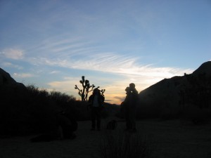 Joshua Tree sunset -- have to see it to believe it.